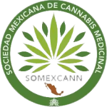 sociedad mexicana de cannabis medicinal